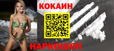 дурь Сланцы