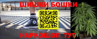 дурь Сланцы