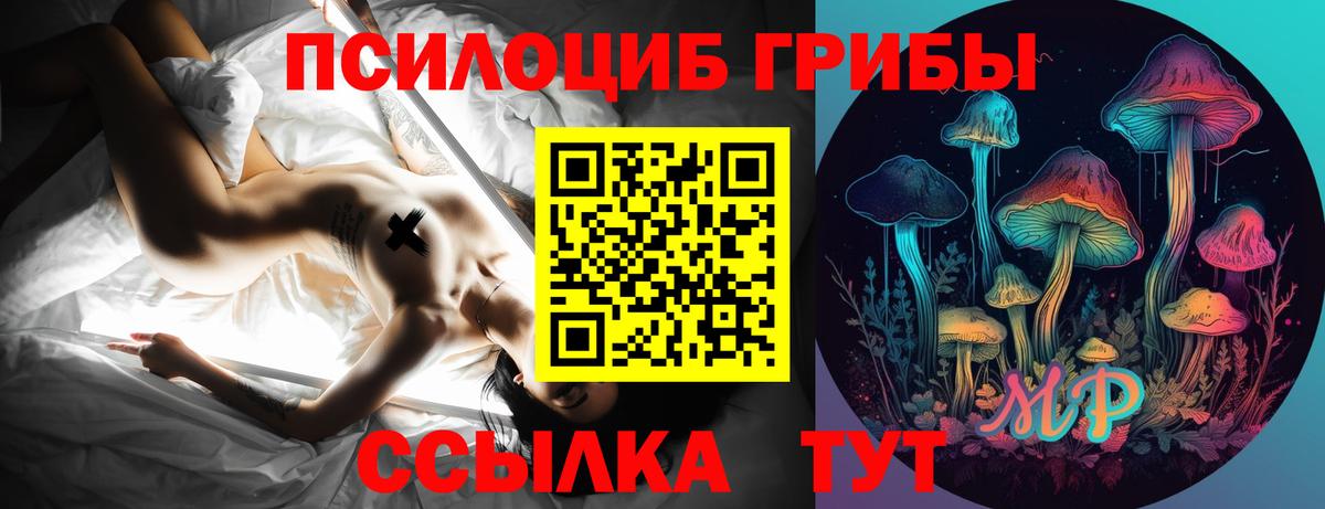 Псилоцибиновые грибы MAGIC MUSHROOMS Октябрьский